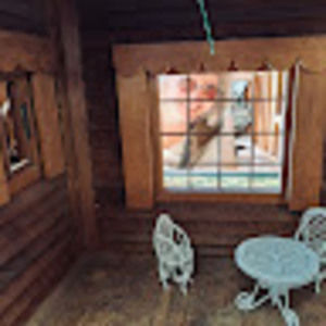 Meet your Posher, Barbara